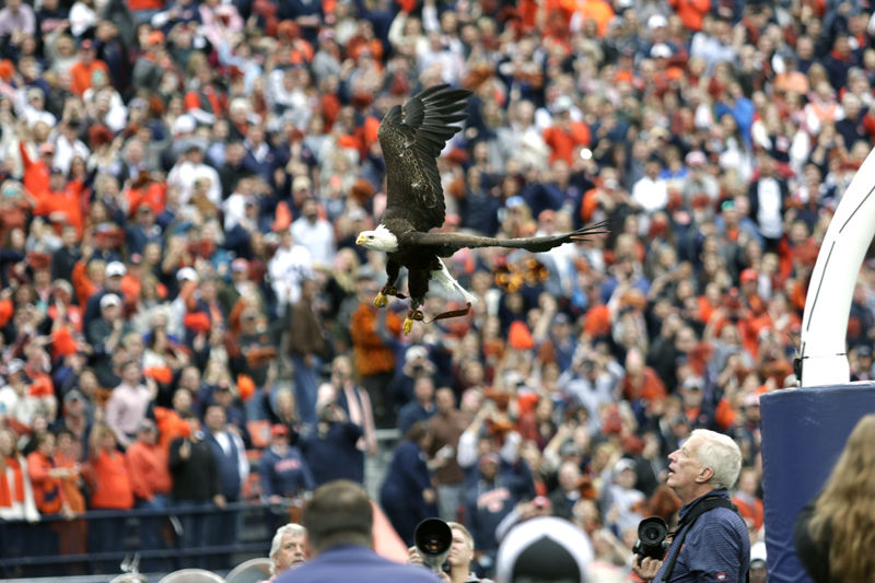 2017 Iron Bowl